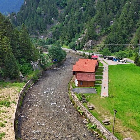 Raha Villa Bungalow Uzungöl Kültér fotó