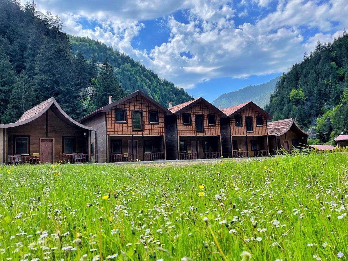Raha Villa Bungalow Uzungöl Kültér fotó