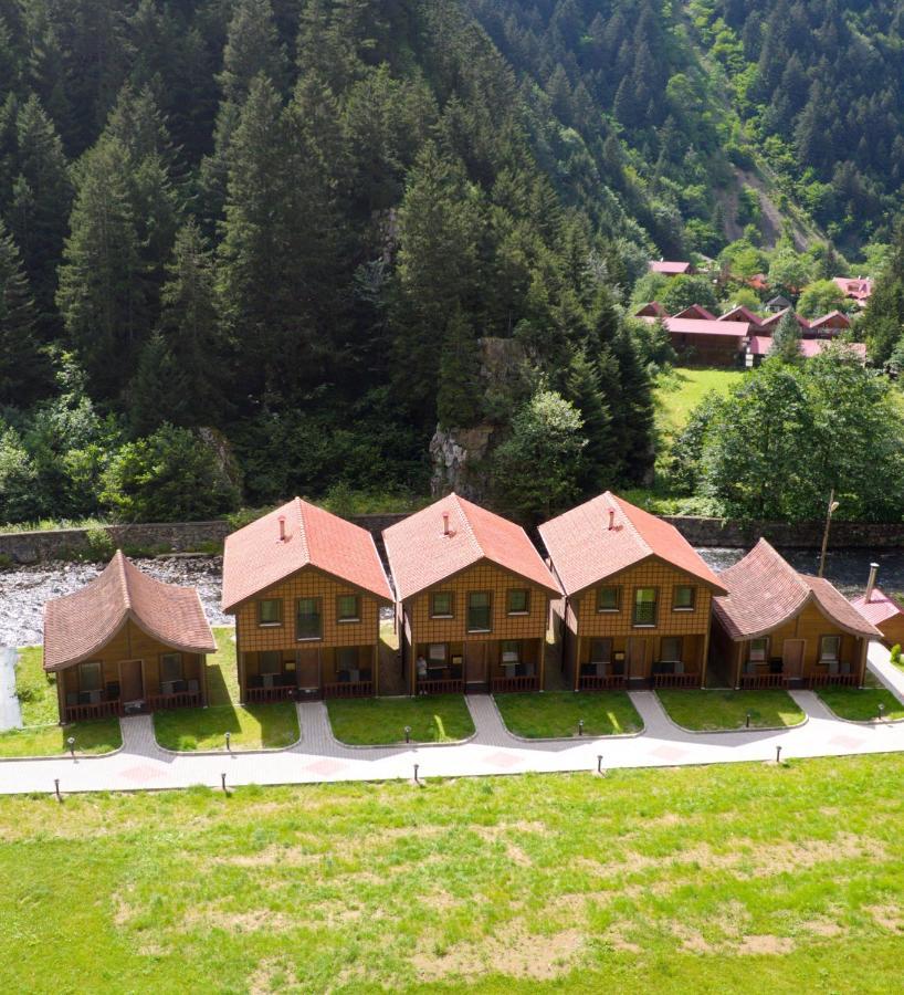 Raha Villa Bungalow Uzungöl Kültér fotó