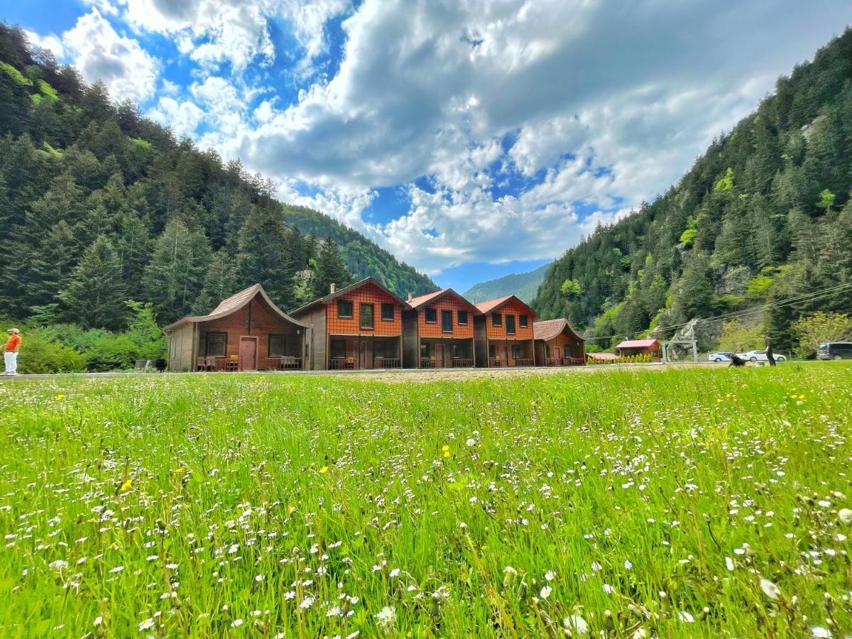 Raha Villa Bungalow Uzungöl Kültér fotó