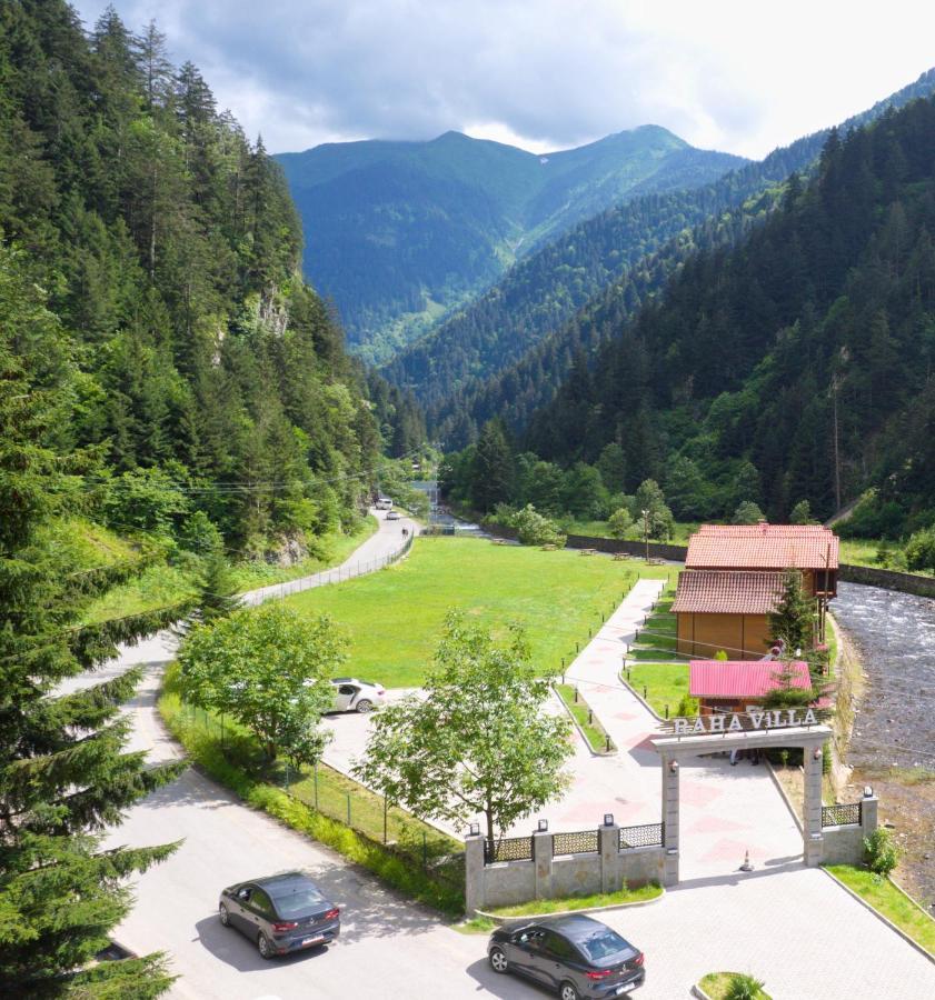 Raha Villa Bungalow Uzungöl Kültér fotó